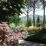 La Stella